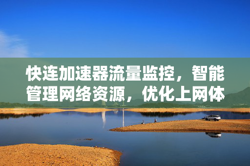快连加速器流量监控，智能管理网络资源，优化上网体验