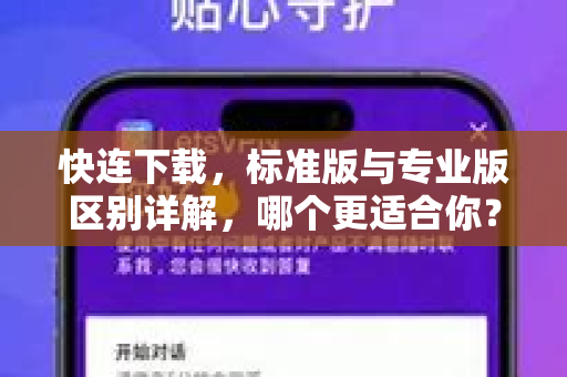 快连下载，标准版与专业版区别详解，哪个更适合你？